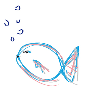 Zeichnung eines Fisches