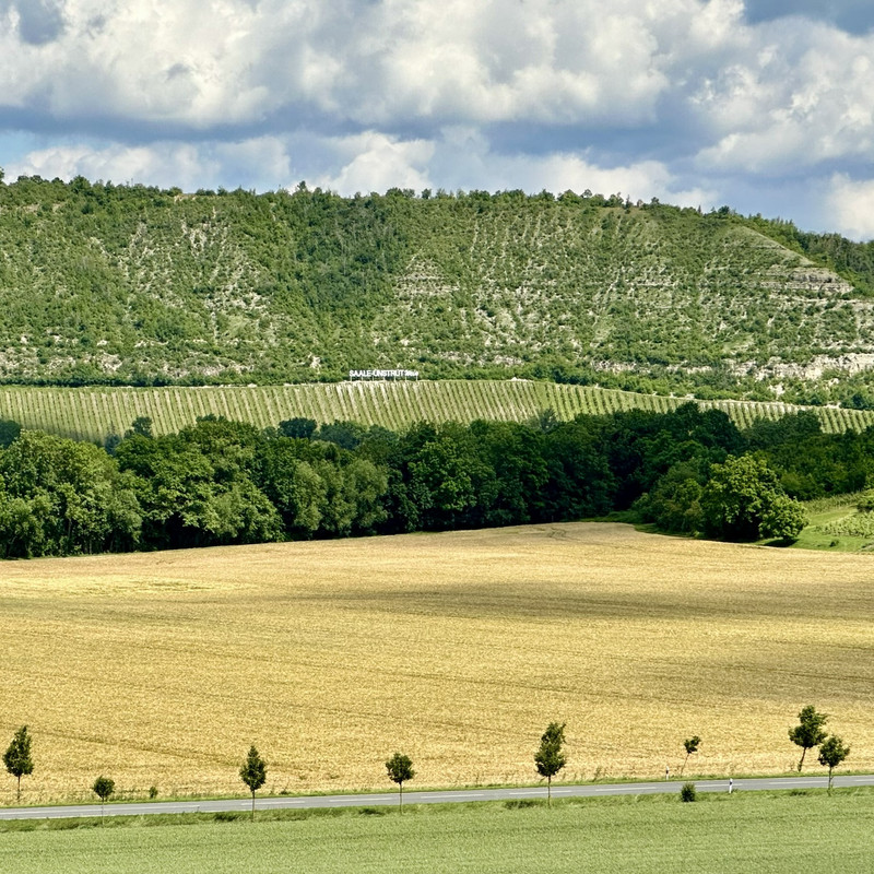 Weinbergblick über Weinberge und Schild Saale-Unstrut