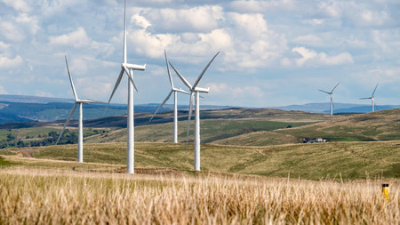 Windräder auf einem Kornfeld