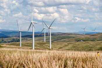 Windräder auf einem Kornfeld