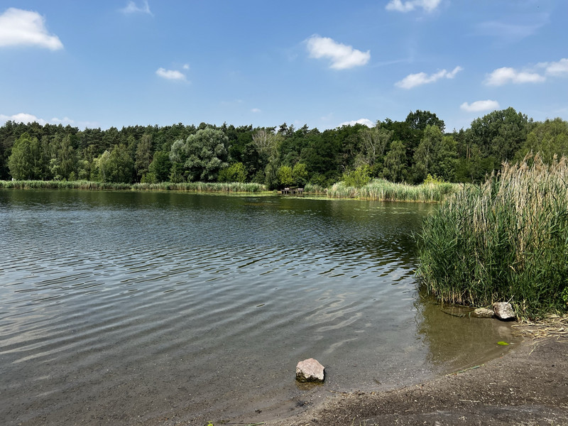 Ufer Heidesee