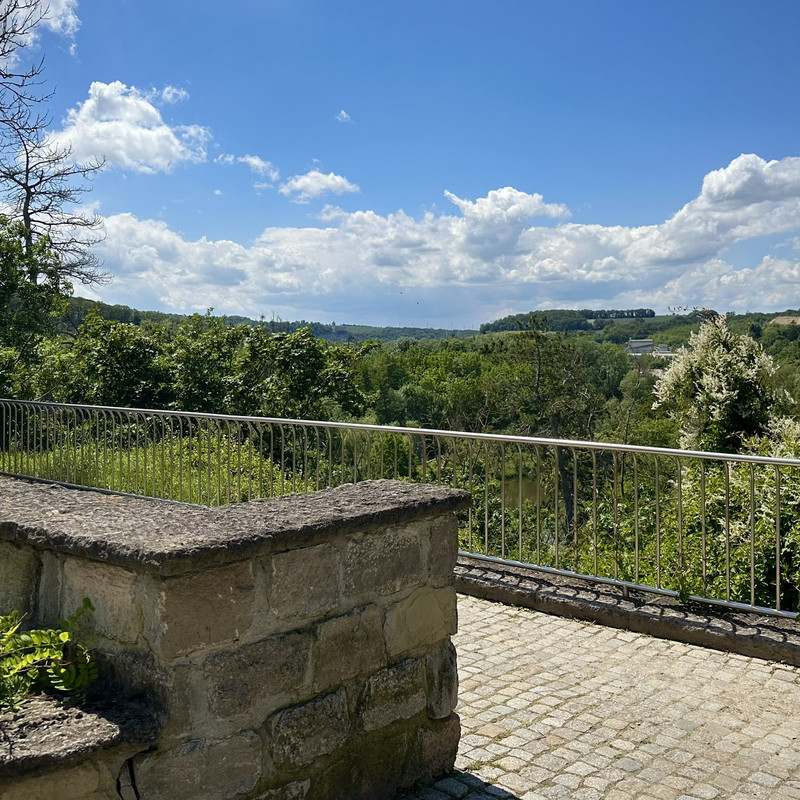 Ausblick über die Saale und die Natur