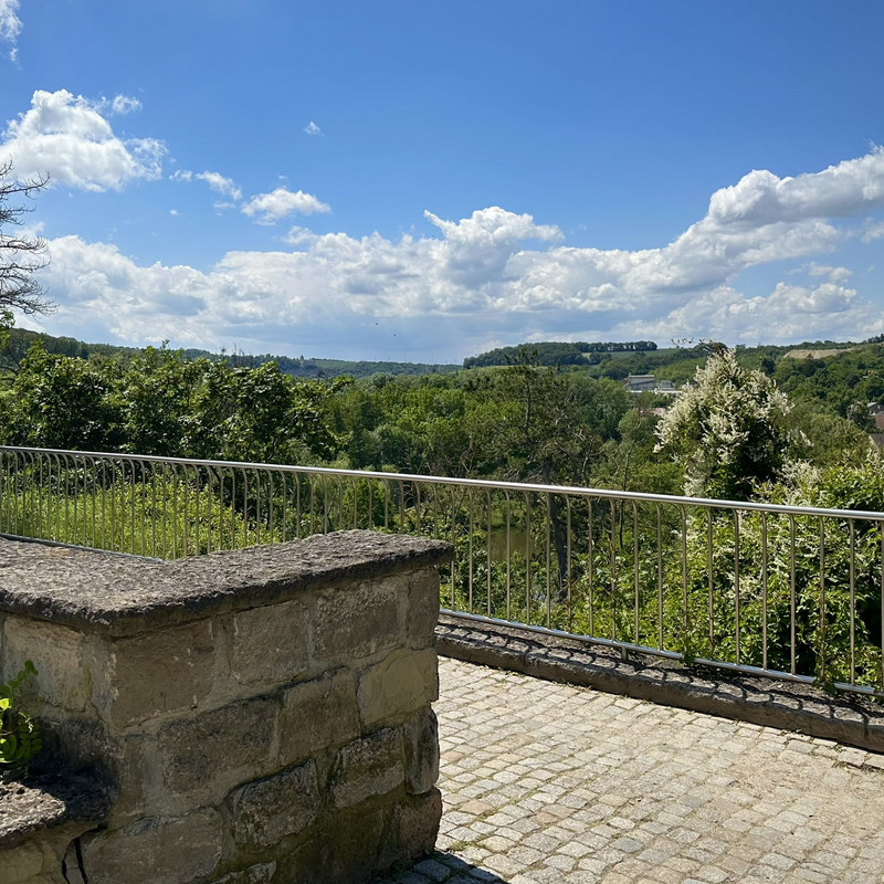 Ausblick in die Natur und auf die Saale