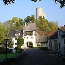 historische Gebäude mit Turm im Hintergrund und Bäumen eingefasst
