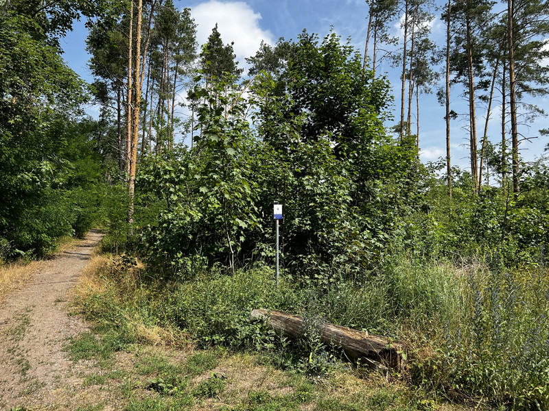 Natura 2000 Heidesee